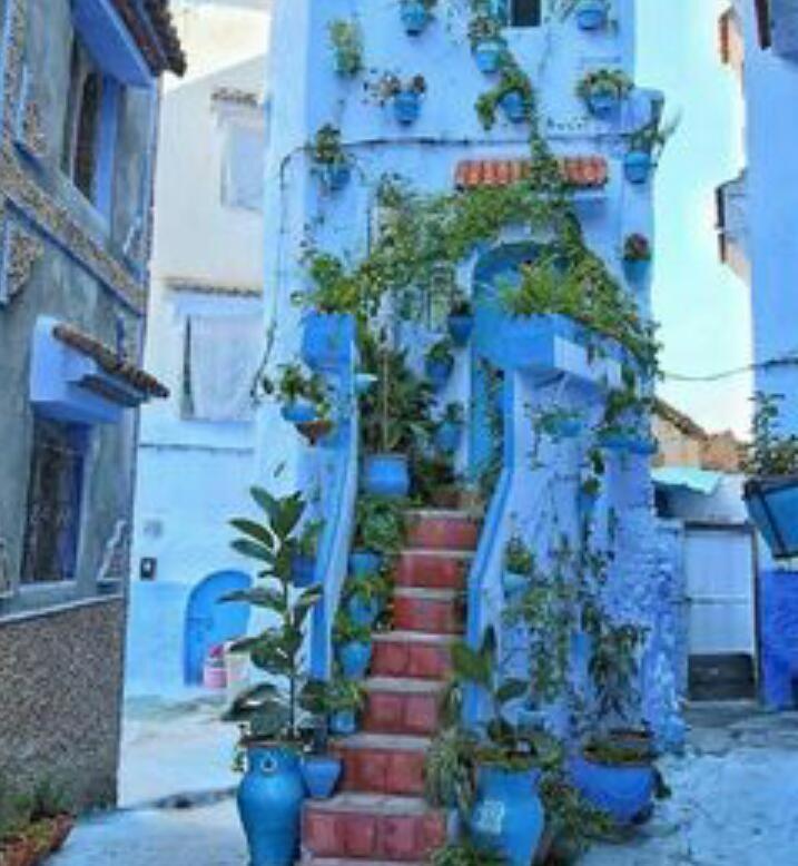 Casa Dreams Chaouen Apartment Чефчауен Екстериор снимка
